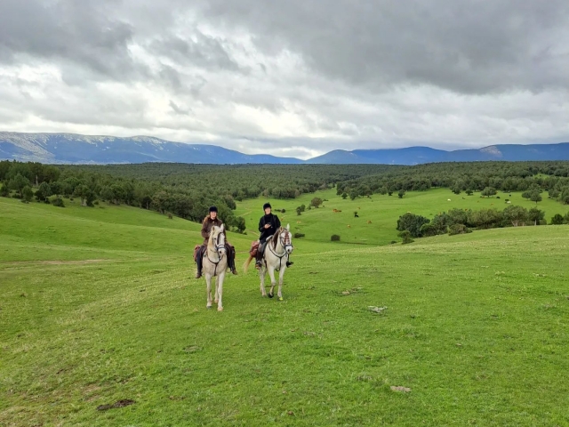  Campagna verde 