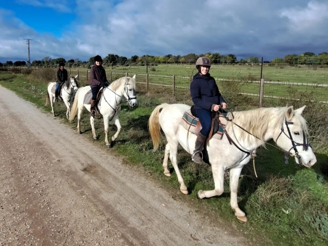  Tutti a cavallo 