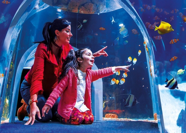  Familienaquarium 