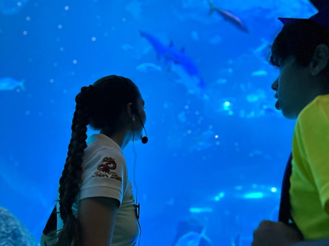  Führer aus dem Aquarium 