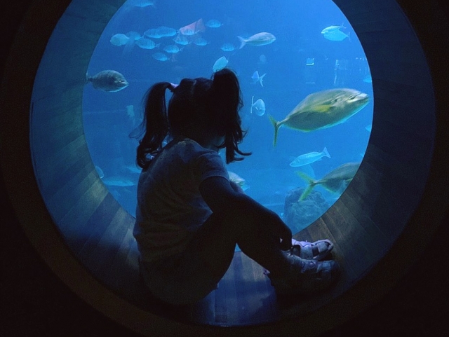  Mädchen schaut den Fisch an 