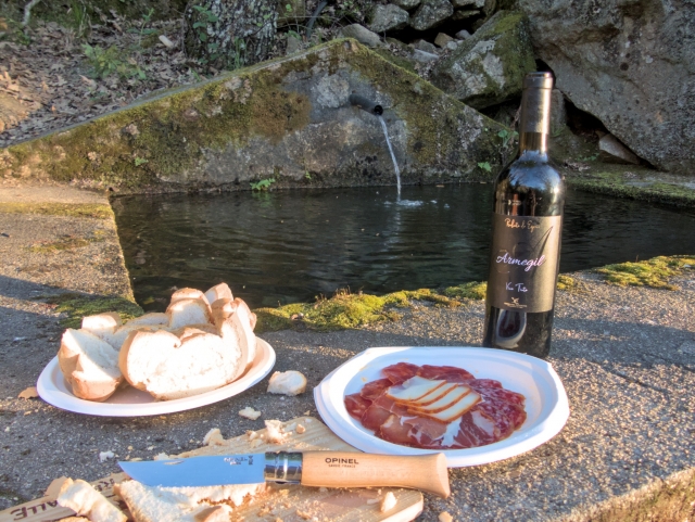 Pequeño aperitivo en la naturaleza