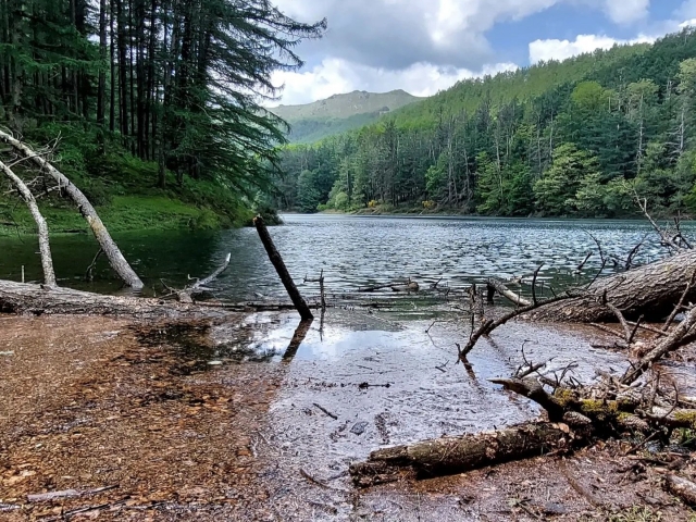  Vues sur les montagnes et la rivière 