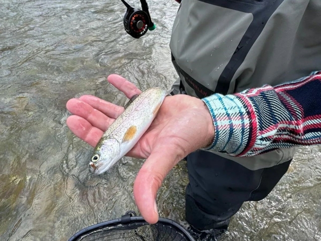  Pêcher un petit poisson 