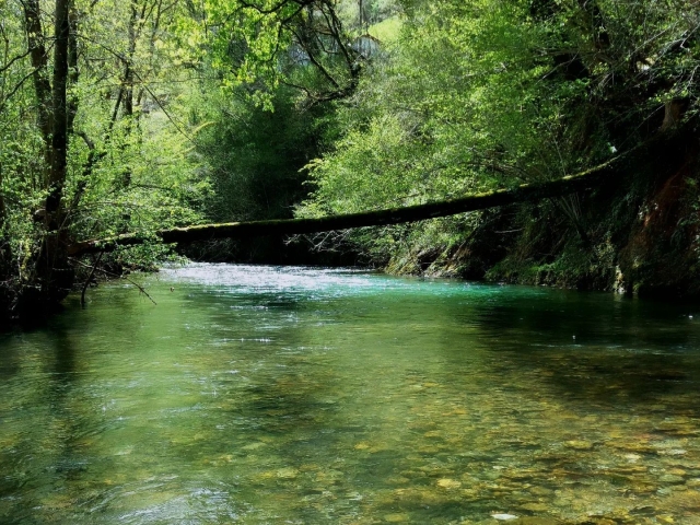  Au pied de la rivière 
