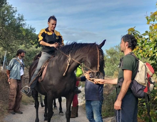 Disfruta de una experiencia ecuestre en Cáceres