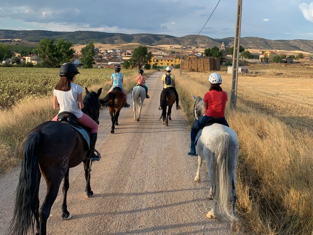  Équitation en groupe 