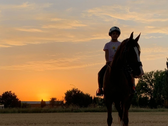  À cheval au coucher du soleil 