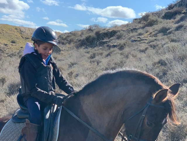  Équitation
