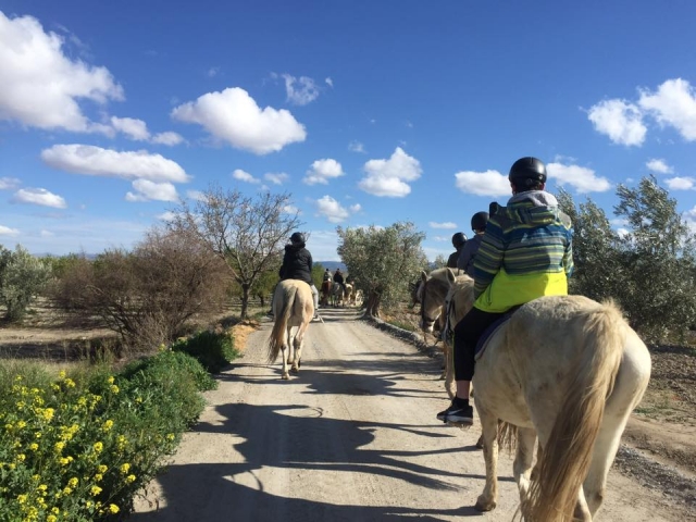 Paseo por la vega ente Caniles y Baza a caballo