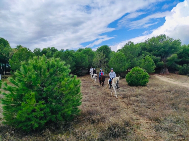  Visitate i dintorni di San Juan a cavallo 