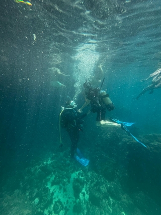 res_o-65181-buceo_de_inmaculada-luque-romero_86549579-17f4-4eb8-b29f-d234dc828fb6_17544244417499.jpeg