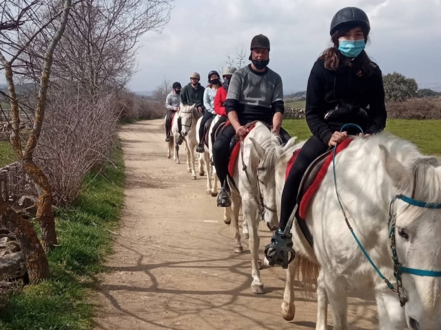 Rutas a caballo en Madrid