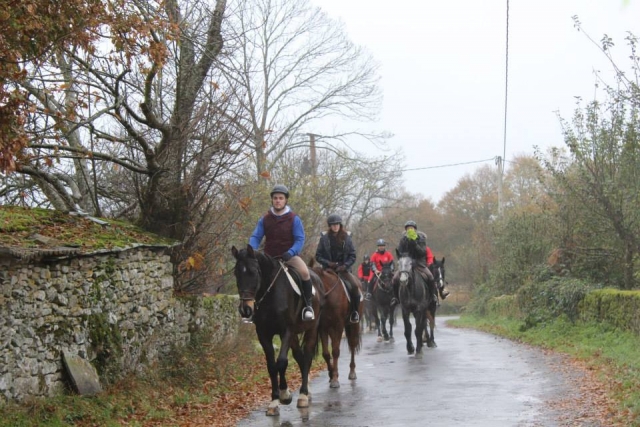 Passeggiate a cavallo con gli amici 