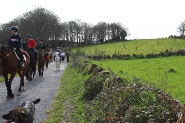  Passeggiate a cavallo tra i prati 
