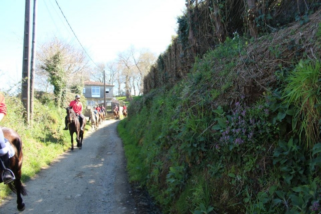  Passeggiate a cavallo attraverso la Ribeira Sacra 