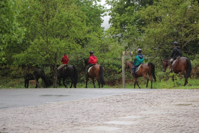  Passeggiate a cavallo con i più piccoli 