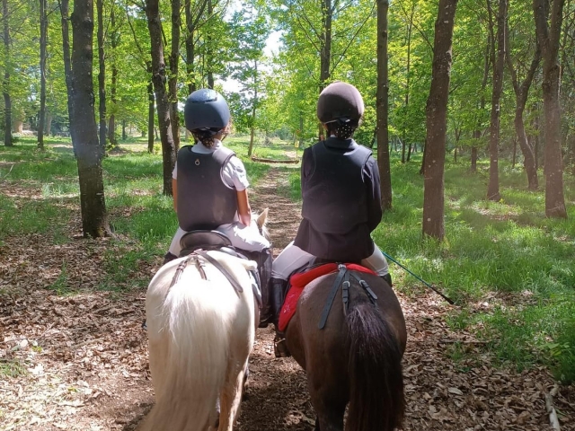  Itinerari a cavallo per tutte le età