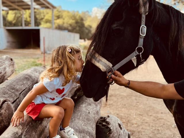  Amore per i cavalli fin dalla più tenera età 