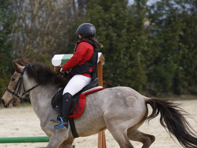  Equitazione a Gondomar 