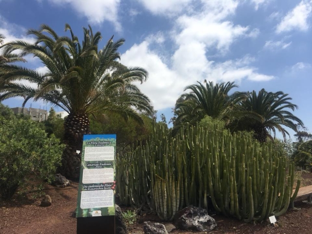  Botanical garden 