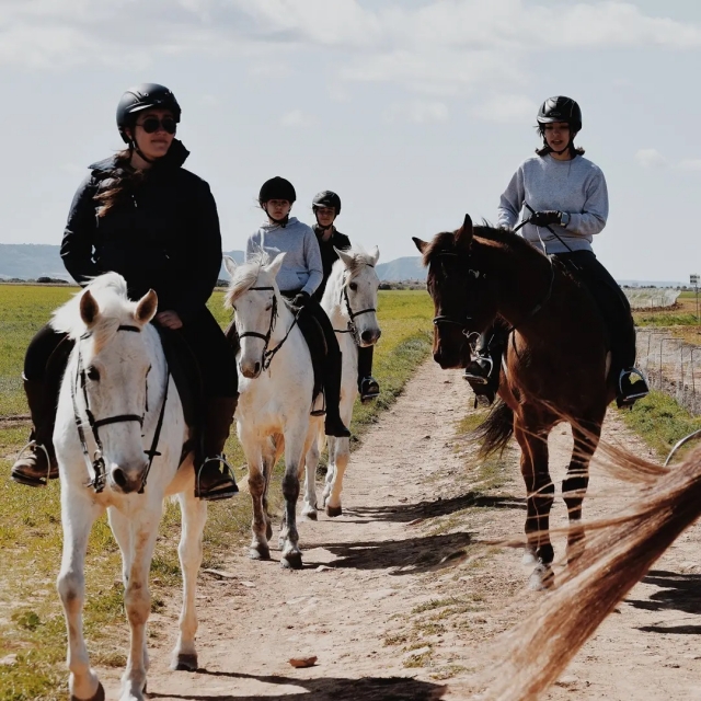 Ruta guiada a caballo por Cabanillas