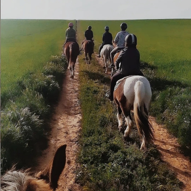 Ruta a caballo por el campo en Cabanillas