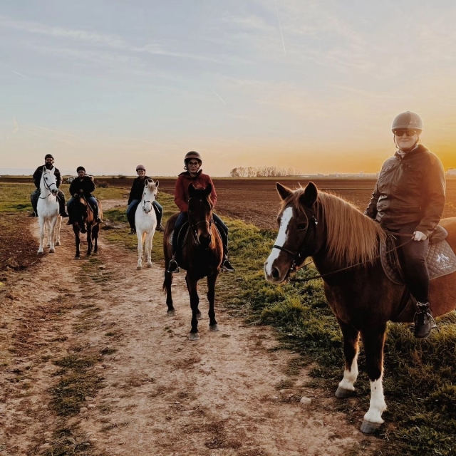 Excursión a caballo por el campo en Cabanillas