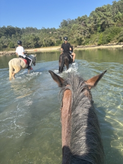 res_o-65009-rutas-a-caballo_de_stephanie-stoewer_17534356728466.jpeg