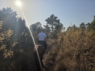 res_o-67563-rutas-a-caballo_de_lucia-groba-barral_17877683615065.jpg