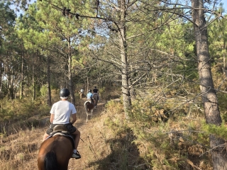 res_o-67563-rutas-a-caballo_de_lucia-groba-barral_17877683669177.jpg