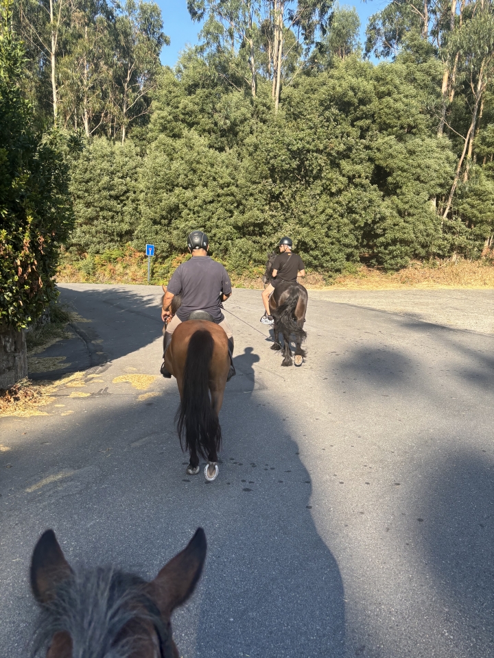 res_o-65009-rutas-a-caballo_de_stephanie-stoewer_1753435647577.jpeg res_o-65009-rutas-a-caballo_de_stephanie-stoewer_1753435647577.jpeg