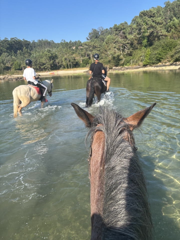 res_o-65009-rutas-a-caballo_de_stephanie-stoewer_17534356728466.jpeg res_o-65009-rutas-a-caballo_de_stephanie-stoewer_17534356728466.jpeg