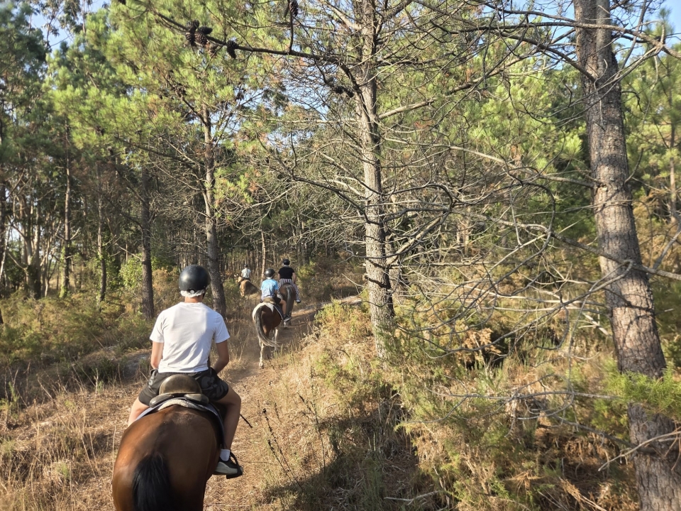 res_o-67563-rutas-a-caballo_de_lucia-groba-barral_17877683669177.jpg