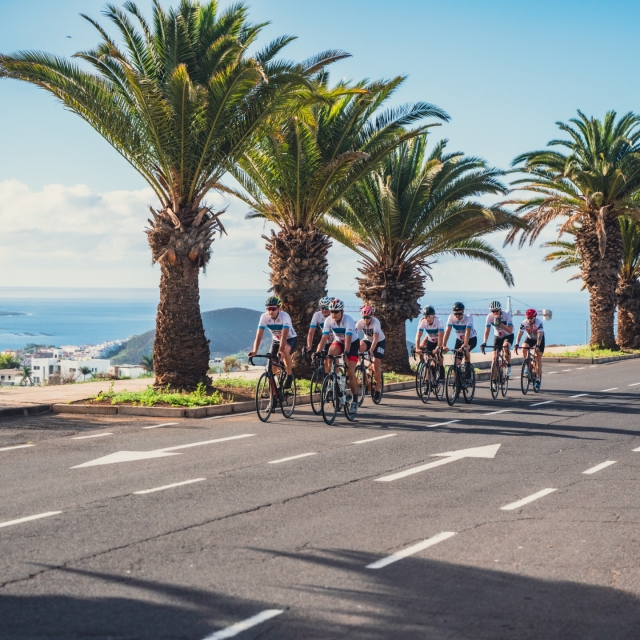  Groupe d'amis sur la côte de Tenerife 