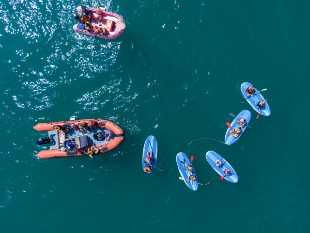  Water activity of the farewell pack 