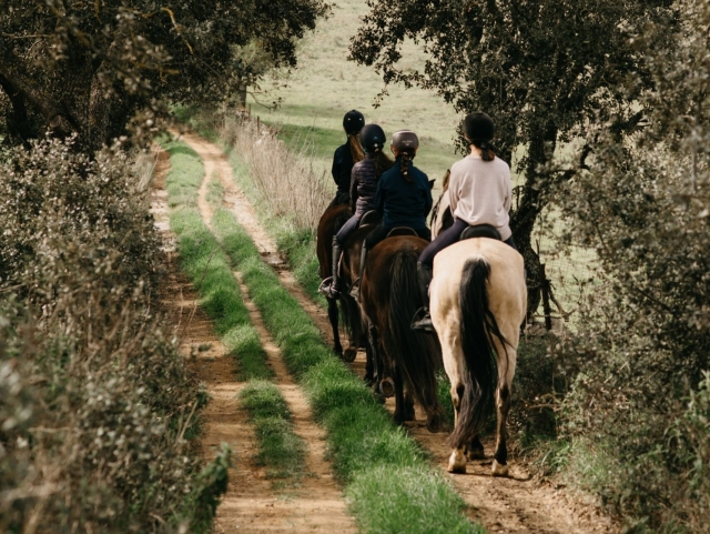  Reitroute durch die Pfade von Zafra 
