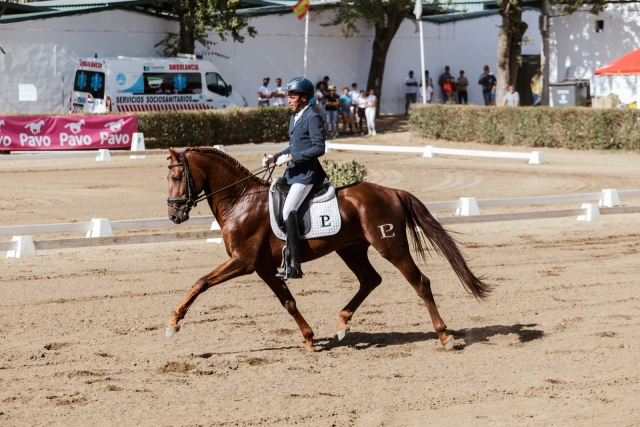  Professioneller Reiter im Reitzentrum Zafra 