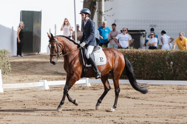  Wettbewerb des Reitzentrums 