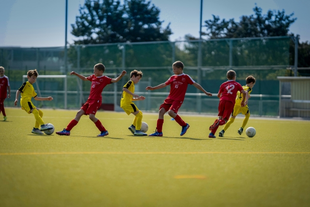  Summer camp in Castellón 