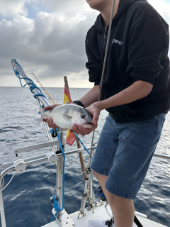 res_o-67955-pesca_de_hendrik-heller_17922449479249.jpeg