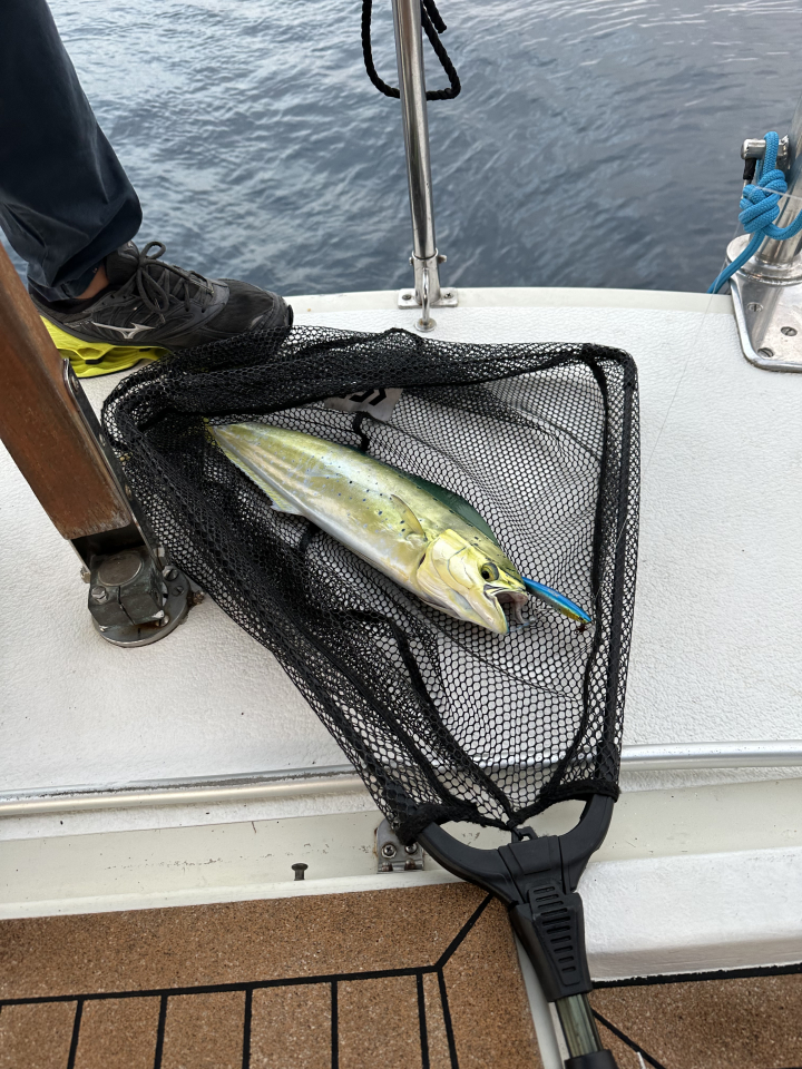 res_o-67955-pesca_de_hendrik-heller_1792244927226.jpeg