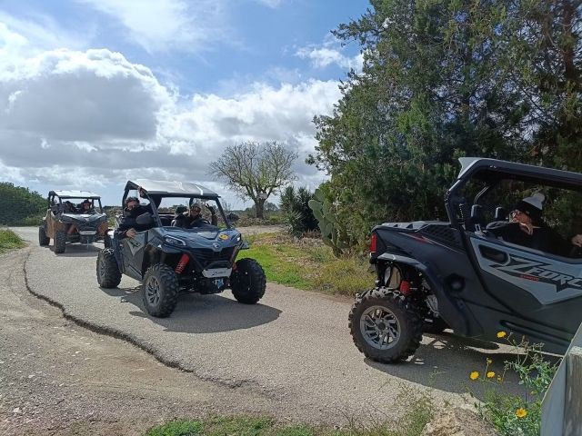  Buggies por Maiorca 