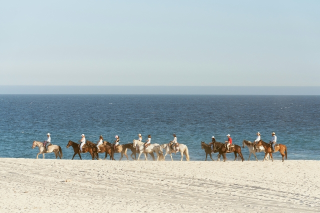  Reiten am Strand von Valencia 