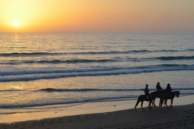  Reiten Sie am Strand von Xeraco entlang