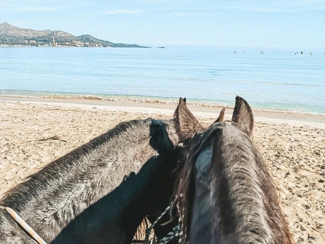 Paseo a caballo hacia la playa