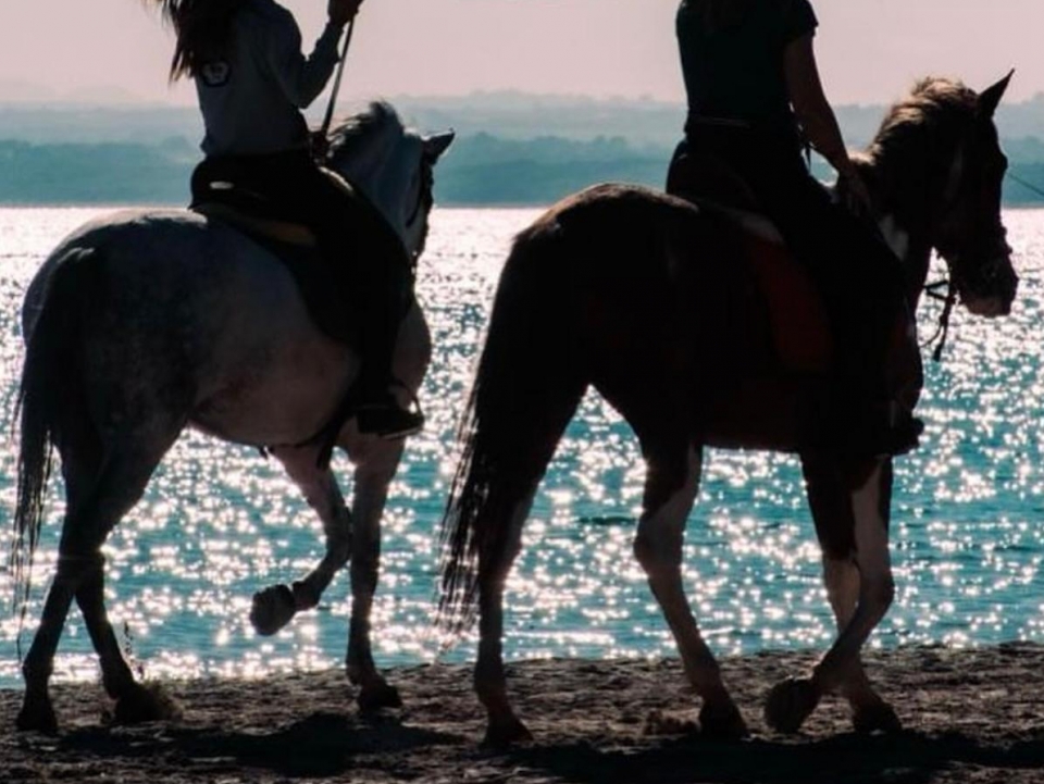 Ruta a caballo por la playa Ruta a caballo por la playa