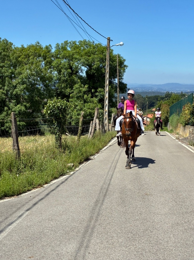 Opinione di Justyna su Itinerario a cavallo sul Monte Deva, 2 ore