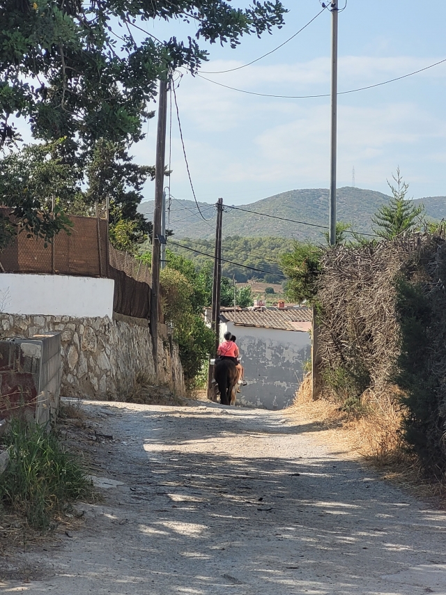 意见 Albisser 关于 穿过加拉夫 (Garraf) 的骑马路线，欣赏海景，2 小时