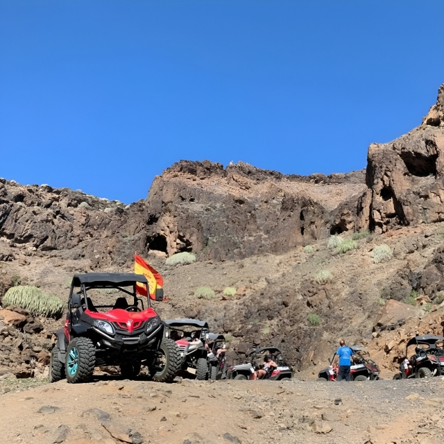 Salida en buggy desde Mogan